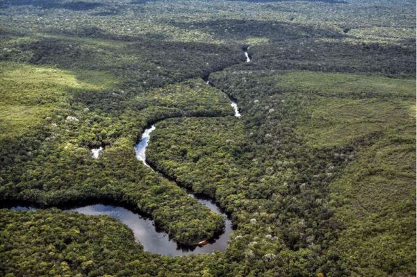 Cúpula do governo critica pressão internacional para manter ‘todas as florestas’