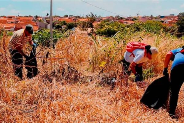SP: São Joaquim da Barra tem 3 mortes por dengue e adia início das aulas