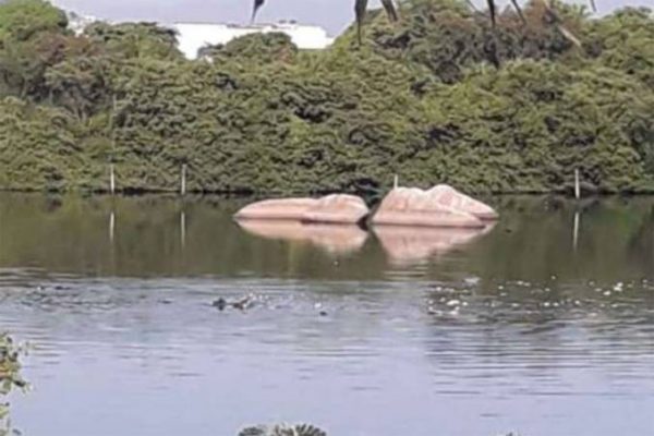 Helicóptero da PM cai na Baía de Guanabara, no Rio