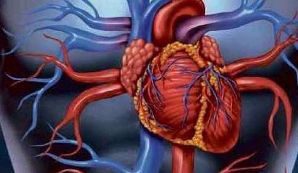 Microrrobôs levam medicamentos a partes específicas do corpo humano