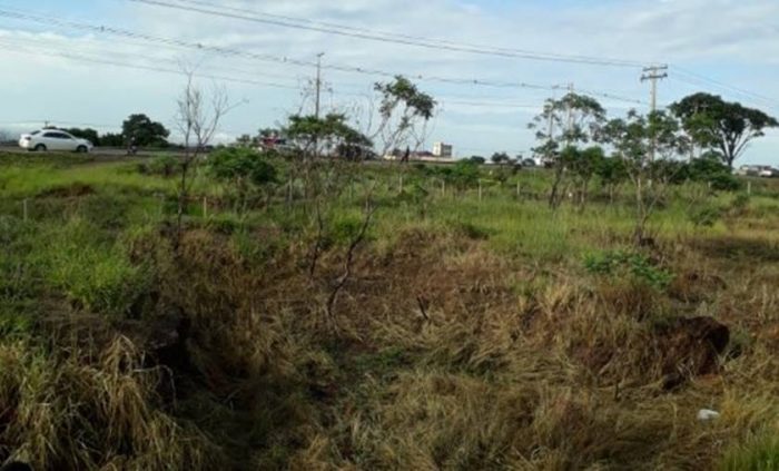 Homem de 64 anos é encontrado morto em matagal do DF