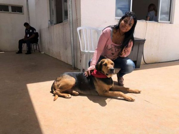 GDF deve abrir novas unidades do Hospital Veterinário Público