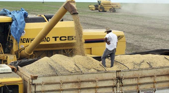 Brasil pode exportar menos soja à China, mas venda de carne deve subir