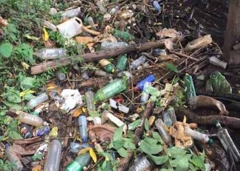 Voluntários organizam limpeza nas margens do Lago Paranoá nesse sábado