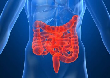 Estudo encontra relação de bactérias do intestino e o câncer colorretal