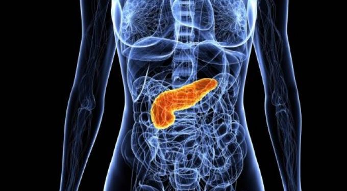 Engenharia cria insulina em pílulas