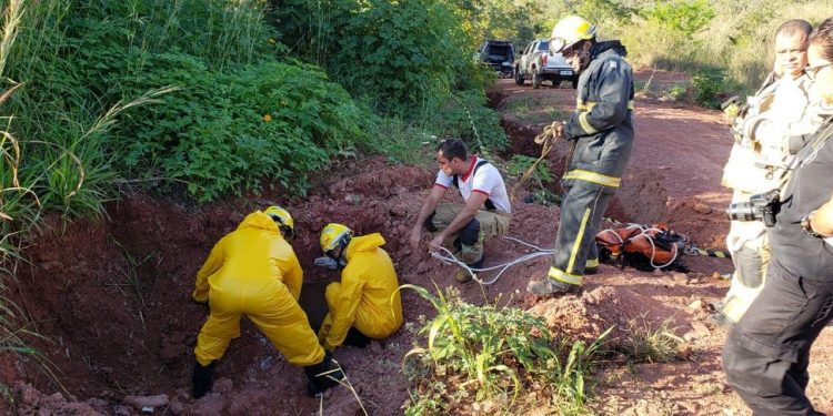 ‘Vampiro do Itapoã’: suspeito de ter matado e bebido sangue de vítima é preso no DF