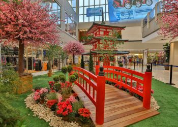 Festival ‘Tesouros do Japão’ reúne exposição, dança, música, oficinas e gastronomia no DF