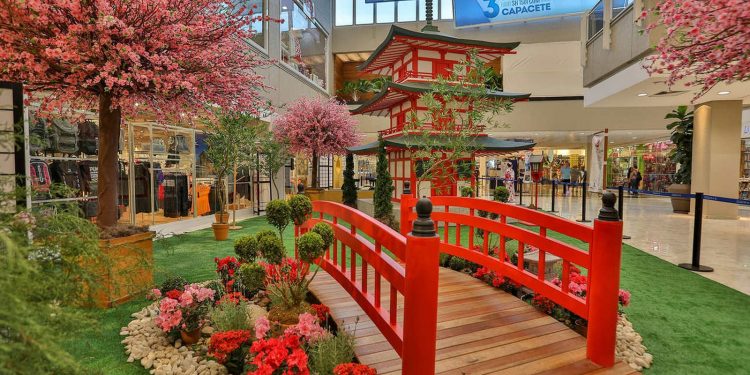 Festival ‘Tesouros do Japão’ reúne exposição, dança, música, oficinas e gastronomia no DF