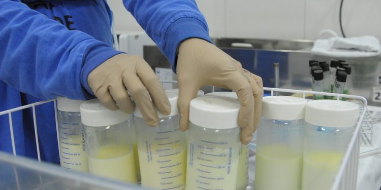 Bancos de leite do DF precisam de doações