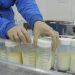Bancos de leite do DF precisam de doações