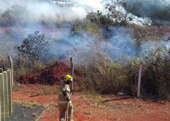 Bombeiros tentam controlar fogo em mata próxima à via Estrutural