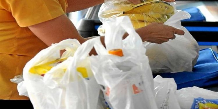 Distritais discutem 21 propostas ligadas ao meio ambiente