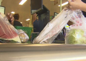 Câmara Legislativa aprova projeto que proíbe venda e distribuição de sacolas plásticas no DF