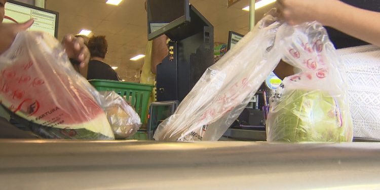Câmara Legislativa aprova projeto que proíbe venda e distribuição de sacolas plásticas no DF