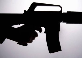 CCJ do Senado aprova uso de armas em toda a extensão de um imóvel rural