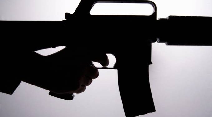 CCJ do Senado aprova uso de armas em toda a extensão de um imóvel rural