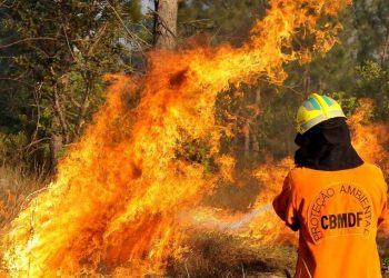 Bombeiros realizam queima controlada para evitar grandes incêndios