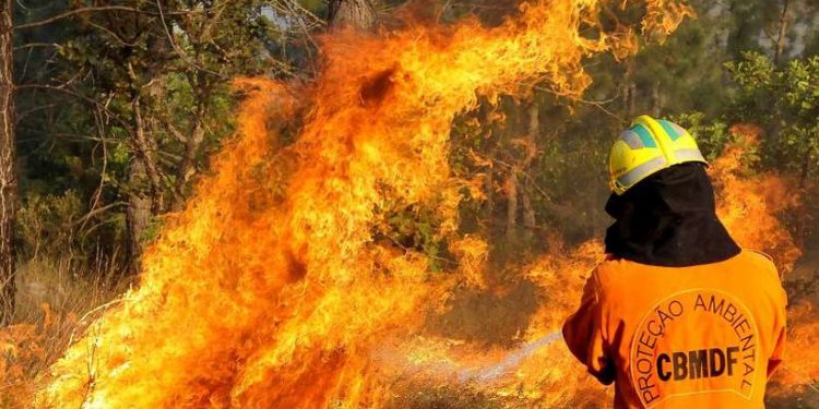Bombeiros realizam queima controlada para evitar grandes incêndios
