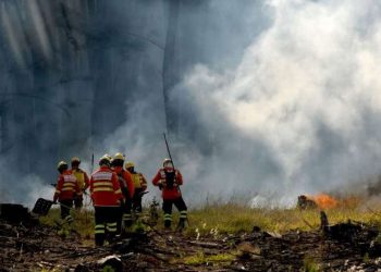 Número de queimadas no Distrito Federal aumenta 28% neste ano