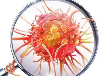 Vitamina B17 não trata câncer (nem é vitamina de verdade)