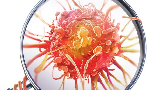 Vitamina B17 não trata câncer (nem é vitamina de verdade)