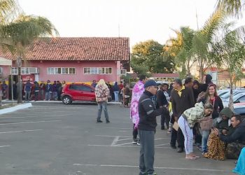 Castração gratuita de cães e gatos no DF gera fila 17 horas antes da liberação das senhas