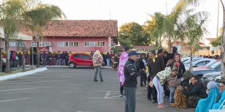 Castração gratuita de cães e gatos no DF gera fila 17 horas antes da liberação das senhas