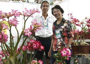 Primavera chega para trazer novas cores (e chuva) para a capital federal