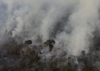 Número de focos de incêndios na Amazônia é o maior em 9 anos