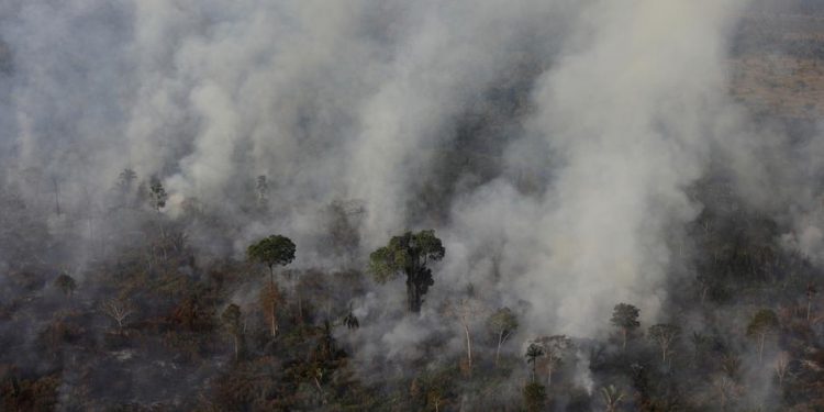 Número de focos de incêndios na Amazônia é o maior em 9 anos