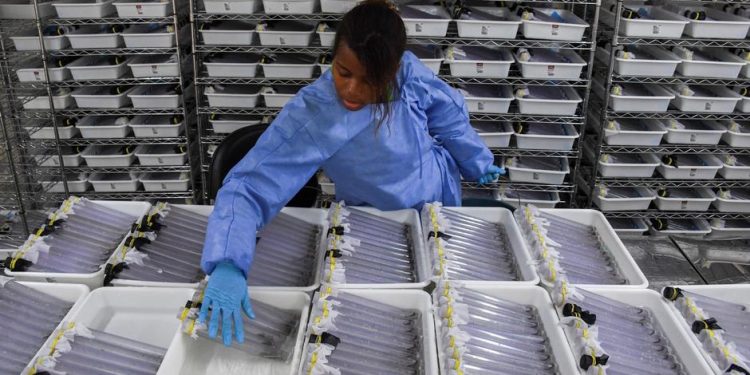 MEC corta mais 5,6 mil bolsas da Capes