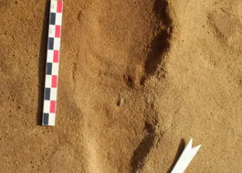 Pegadas de ancestrais humanos são descobertas na França