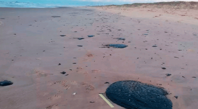 Petrobras diz que óleo que atingiu Nordeste não é do Brasil