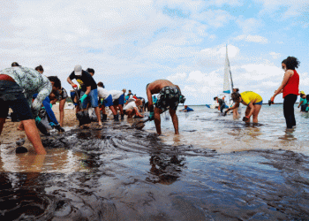 Salles insinua ligação do Greenpeace com óleo em praias do Nordeste