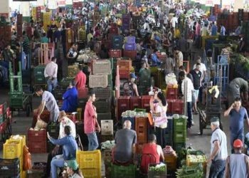 Instabilidade no tempo deve aumentar preço de hortifrútis no DF
