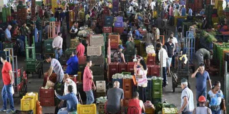 Instabilidade no tempo deve aumentar preço de hortifrútis no DF