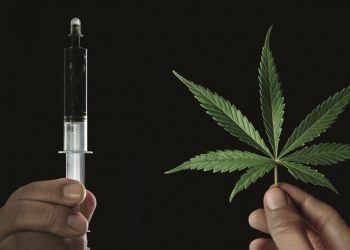 Anvisa adia decisão sobre liberação do uso medicinal da maconha