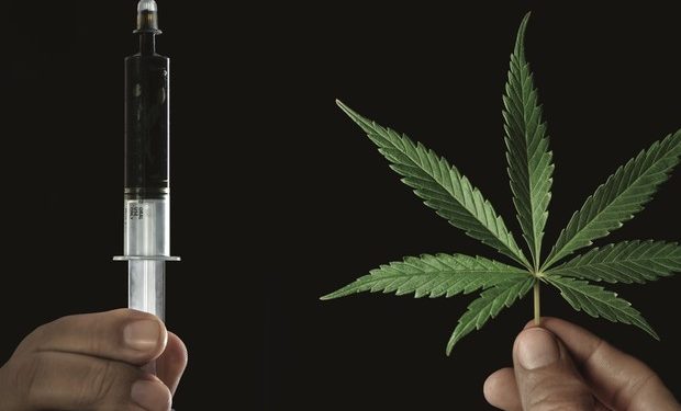 Anvisa adia decisão sobre liberação do uso medicinal da maconha