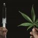 Anvisa adia decisão sobre liberação do uso medicinal da maconha
