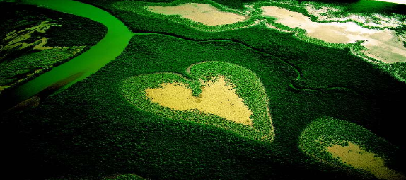 Conheça: Em nome dos silenciados: versos de dor, amor, resistência, esperança!