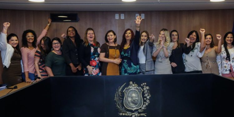 Combate à violência e fomento ao emprego estiveram em pauta na Comissão da Mulher