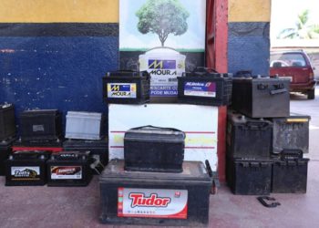 Lei valoriza empresas que promovem a sustentabilidade e investem no meio ambiente