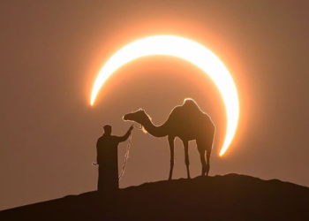 Tiro certeiro: foto com enquadramento perfeito captura homem e dromedário no deserto