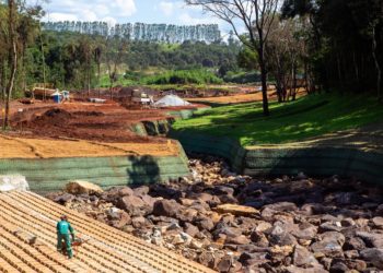 Ações de reflorestamento ainda dão os primeiros passos em Brumadinho