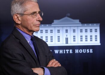 Estados norte-americanos podem estar no pico da covid-19, diz Fauci