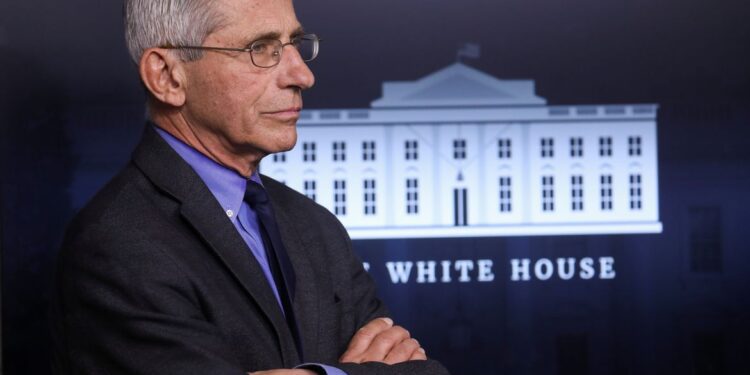 Estados norte-americanos podem estar no pico da covid-19, diz Fauci