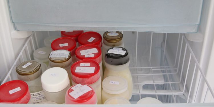 Estoques de leite materno no DF começam a se recompor