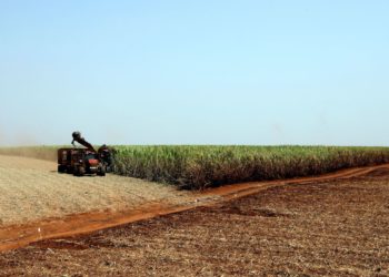 Estimativa de junho prevê safra recorde de 247,4 milhões de toneladas