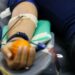 Estudo desenvolve exame para diagnosticar esquizofrenia e bipolaridade